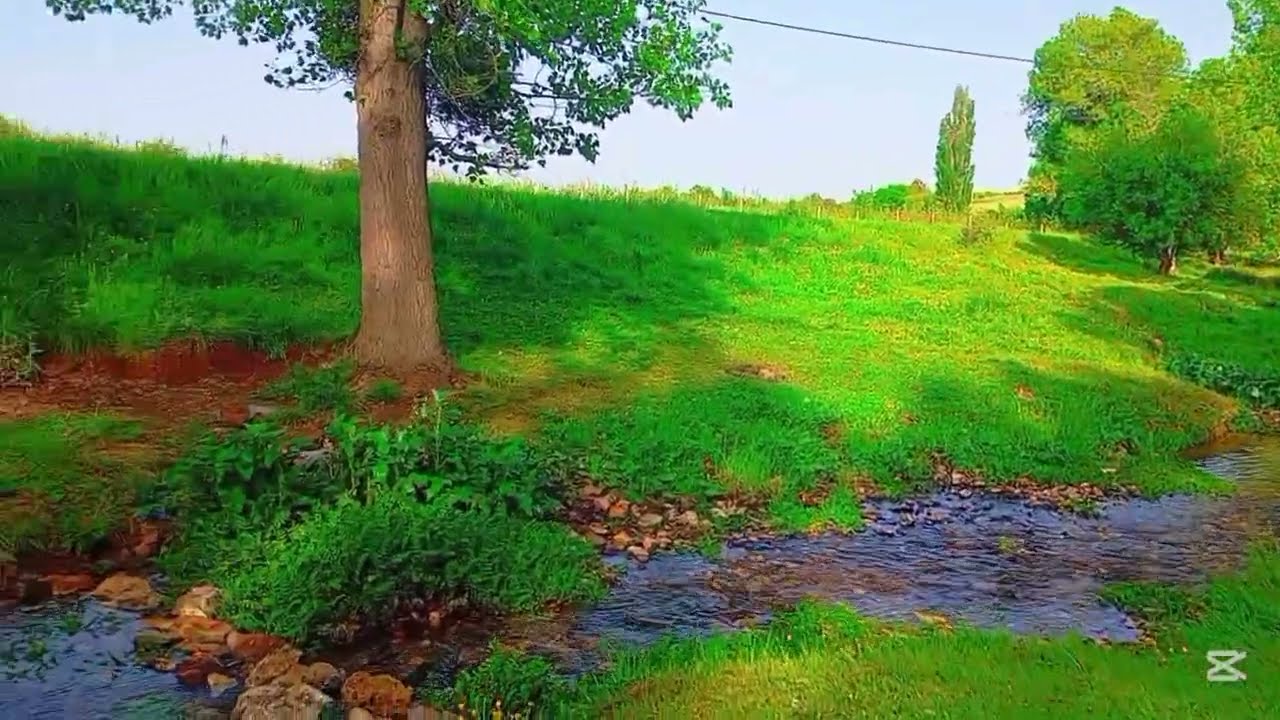 ارح اعصابك واسترخي مع اجمل مناظر الطبيعة الخلابة سيدي🌳 راشد نواحي مدينة ازرو❤