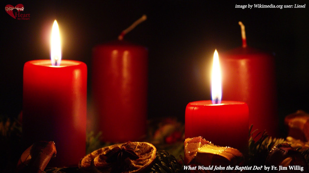 Gospel Study: What Would John the Baptist Do? | Luke 3:1-6 by Fr. Jim Willig