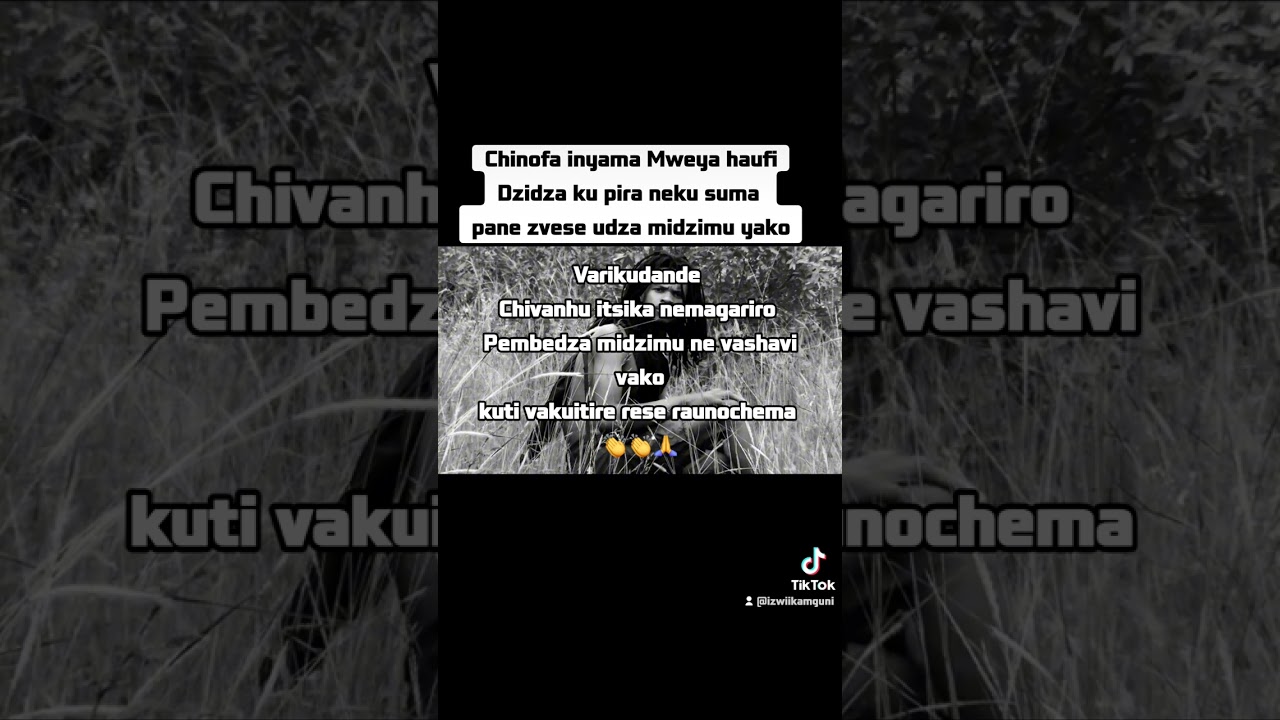 Changamire mguni---- Vari Mudande