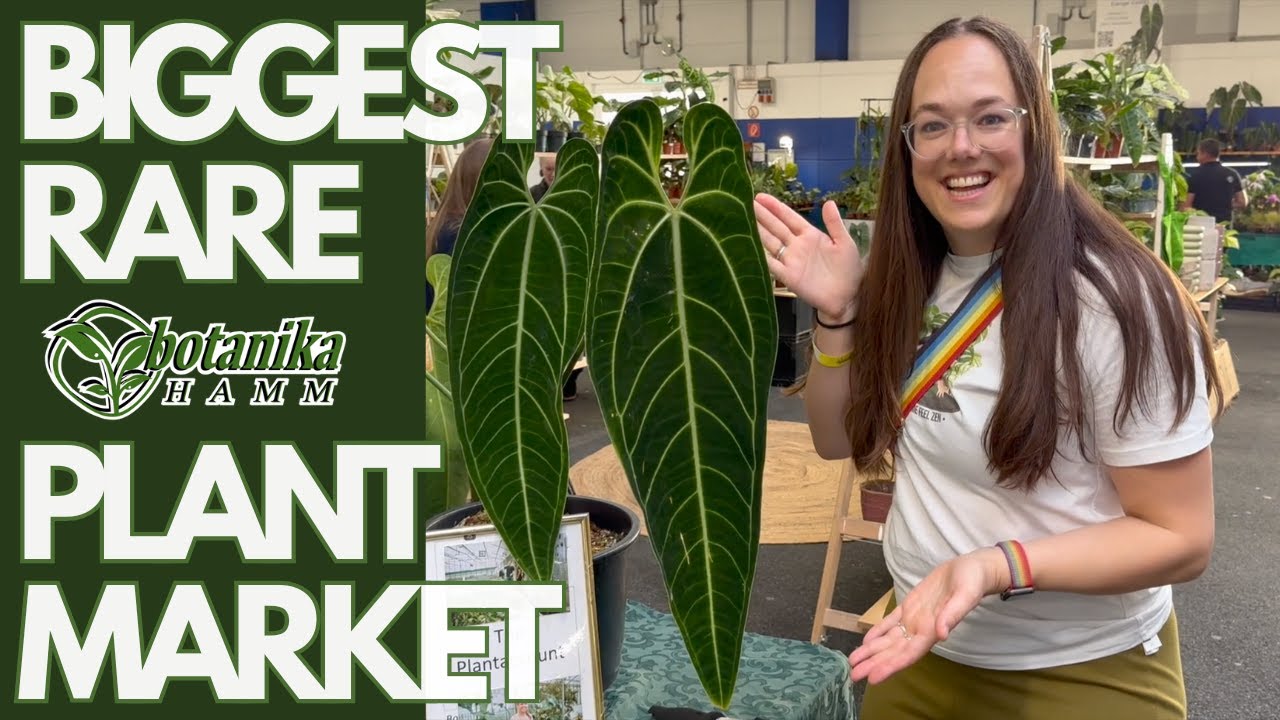 Biggest Rare Plant Market: Botanika Hamm plus HAUL | Plant with Roos