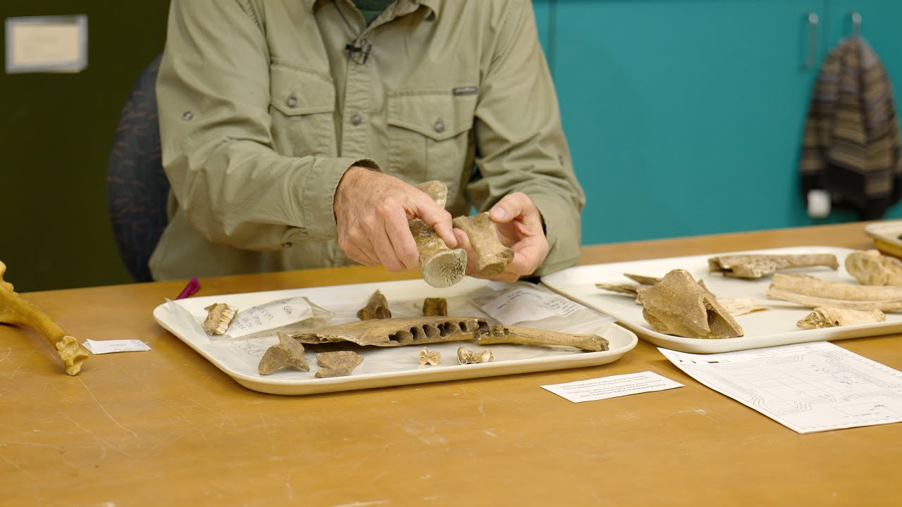 Exploring the Osetology Lab