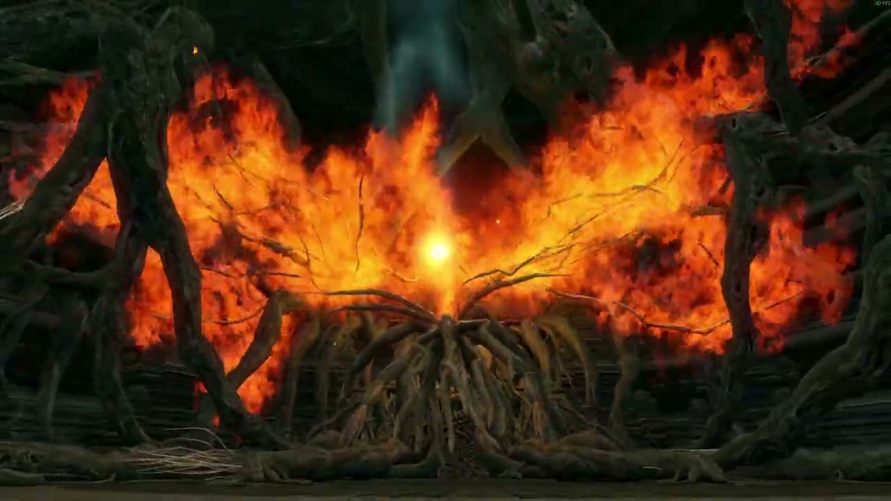 This is how I fight Bed of Chaos