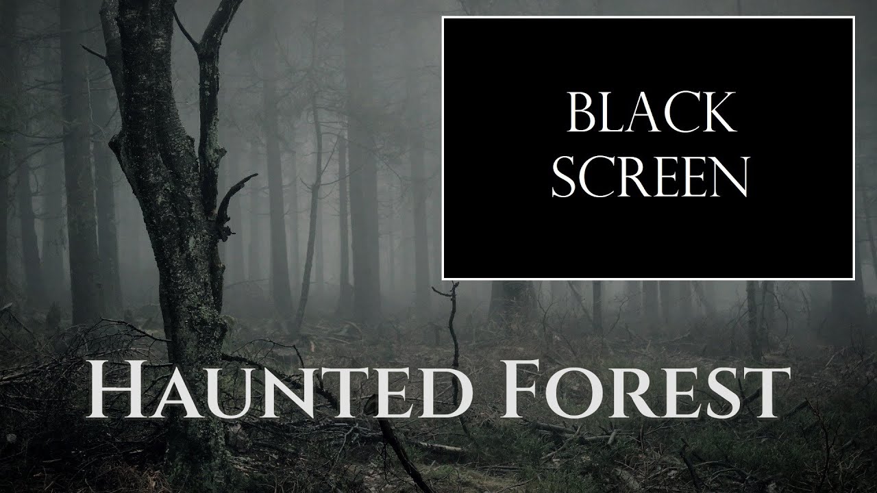 Haunted Forest - Ambience (no music) - sounds of a misty creepy forest - 9h black screen version