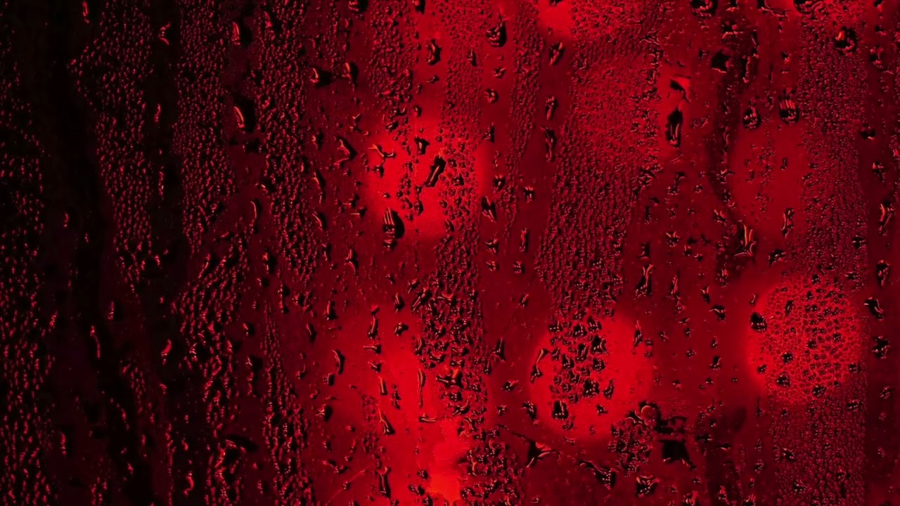 Benjamin Dantès - À l'aube