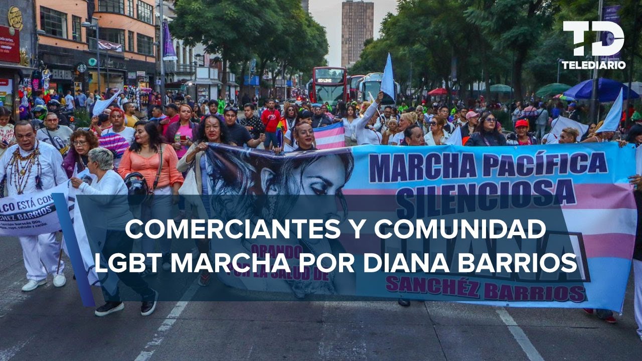 Marchan en apoyo a Diana Sánchez Barrios