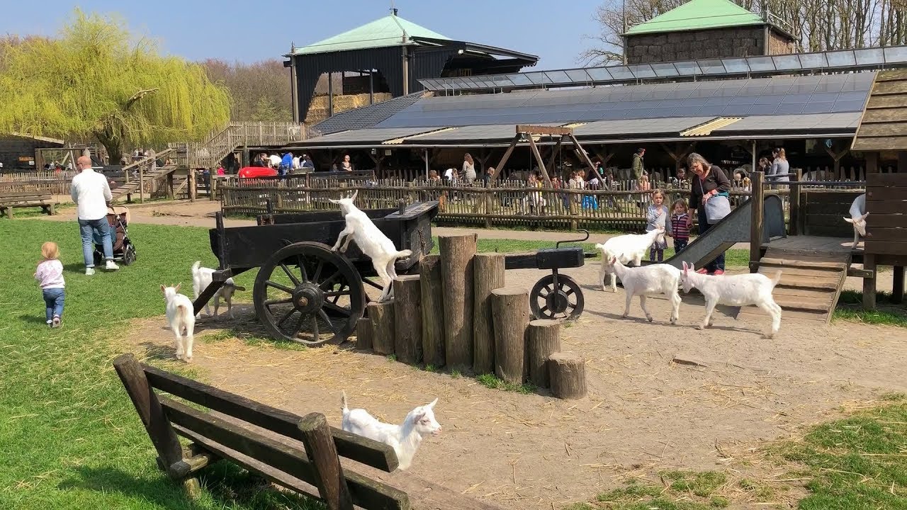 Amsterdam Forest / Goatfarm Ridammerhoeve