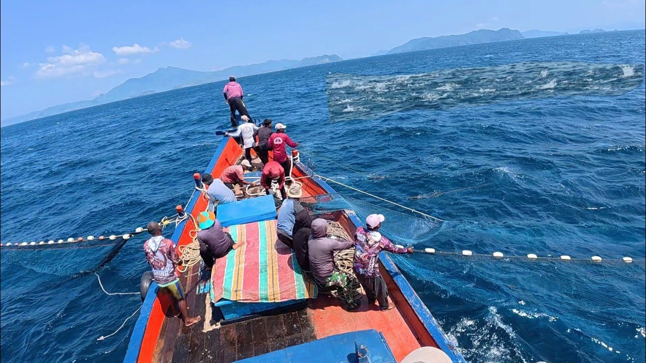 Pukat cincin, Nelayan Indonesia Dapat Banyak Ikan, luar biasa hasil tangkapan nelayan Indonesia