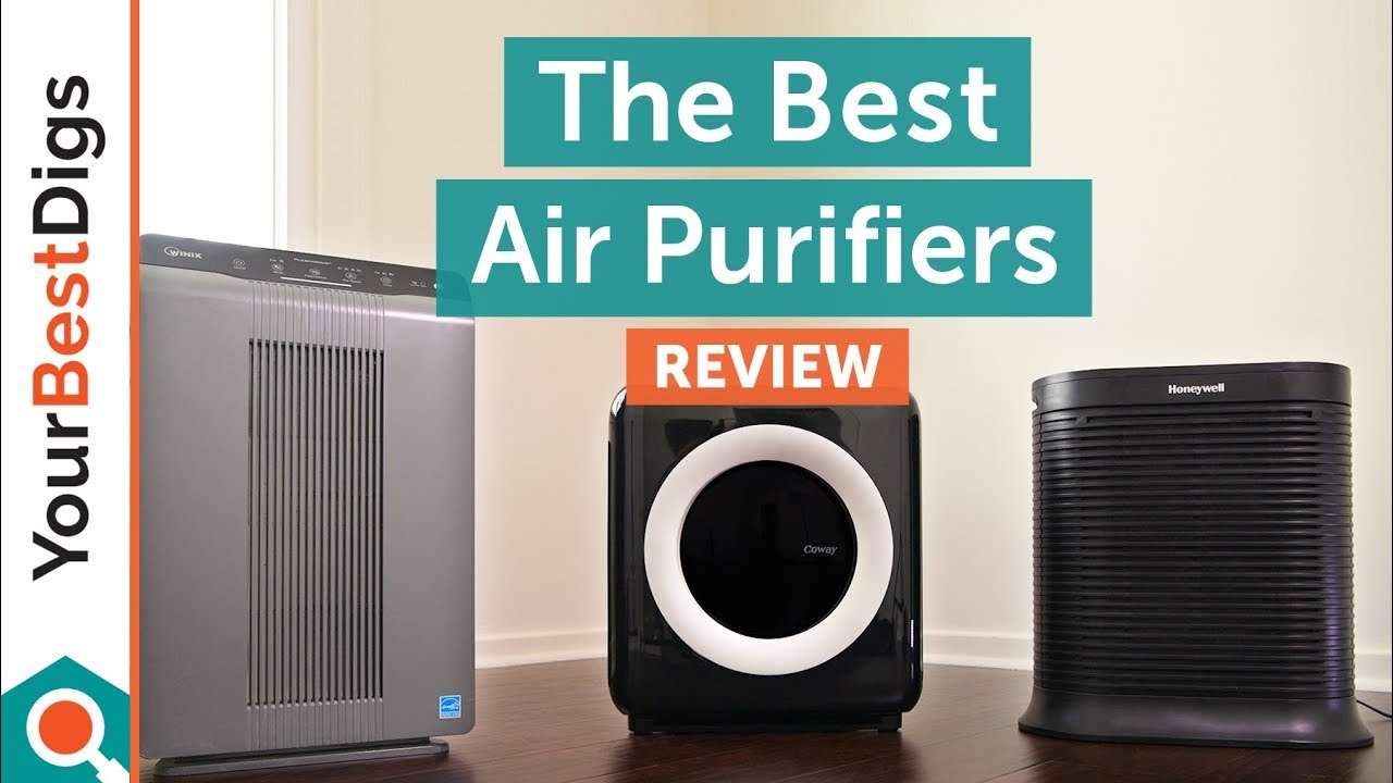 Best Air Purifier Review