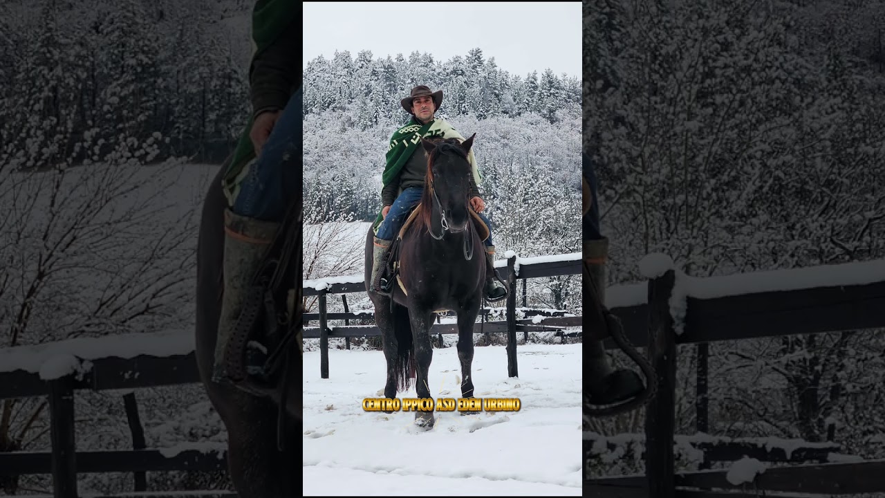neve e ghiaccio Urbino all' Eden dei cavalli 7/1/2026 #horse #horsemanship #horselife #snow #poncho 