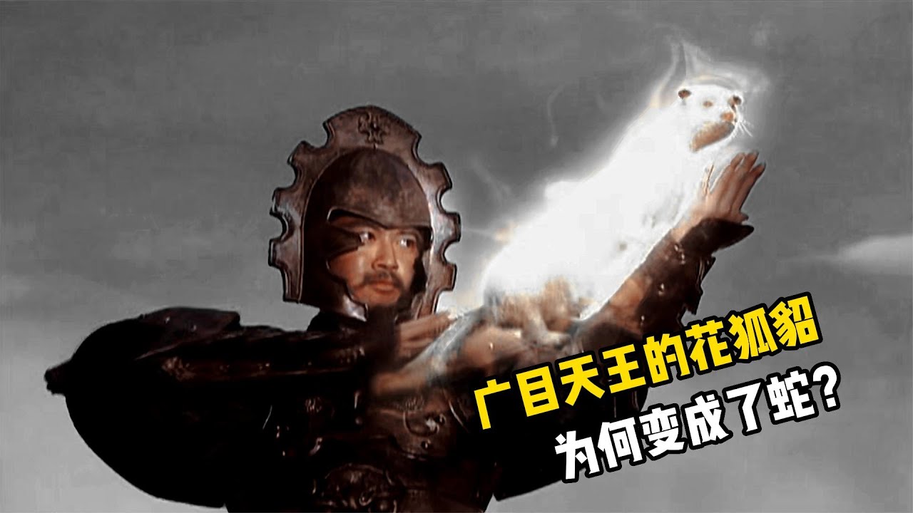 广目天王的活体法宝花狐貂，为什么在西游记里，却变成了一条蛇？