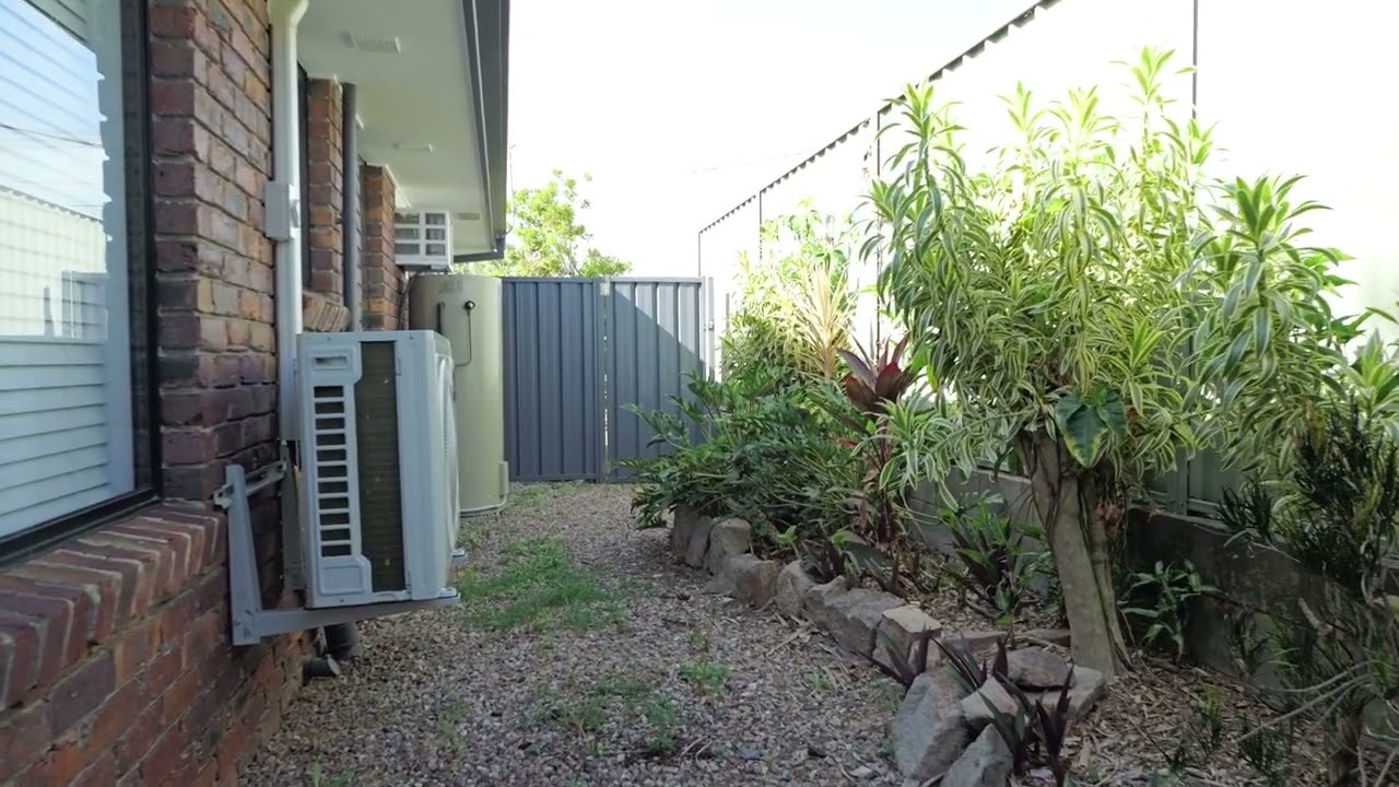 The Back Yard