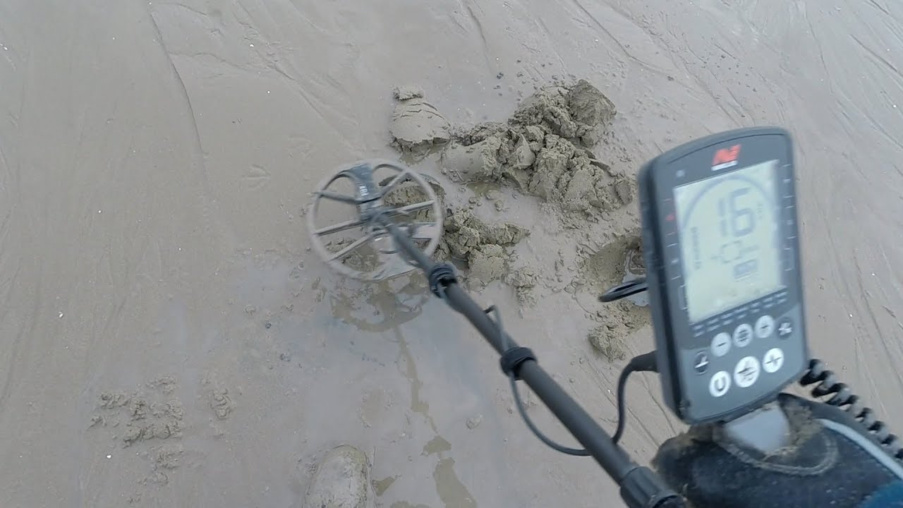 14. Burnham on Sea Minelab Equinox 800