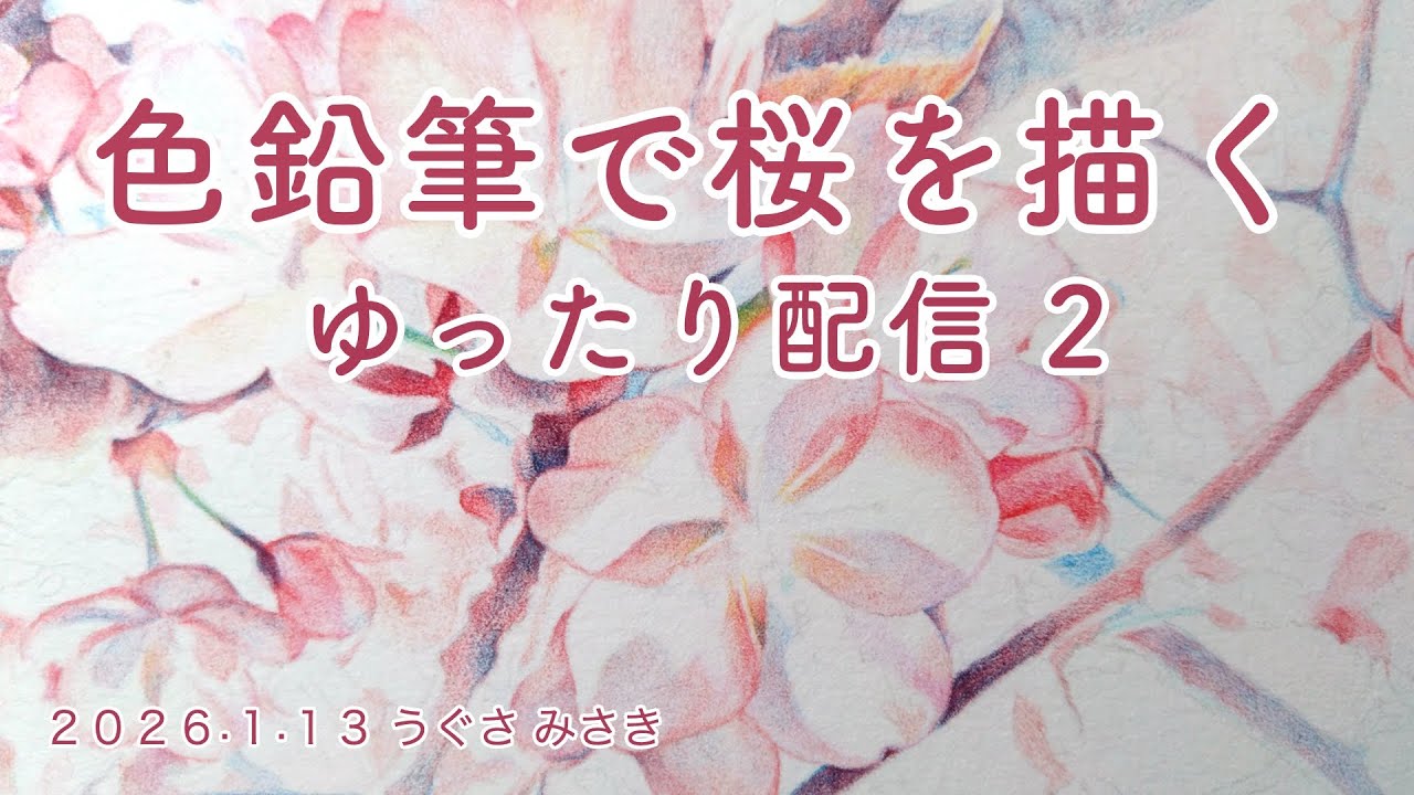 【色鉛筆で桜を描く２】ゆったり配信アーカイブ/うぐさみさき