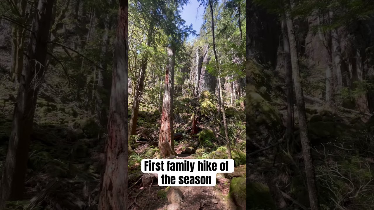 Hiking Little Si with the fam #familyhike #hiking #dgreality #pnw #Wa #outdoors