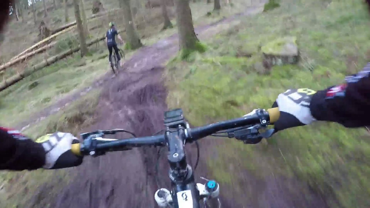 Rold skov MTB spor 2017