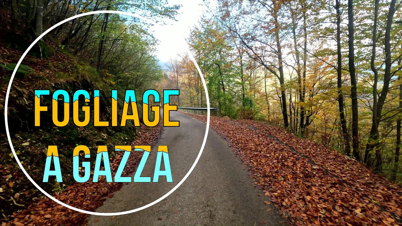 FOGLIAGE a GAZZA