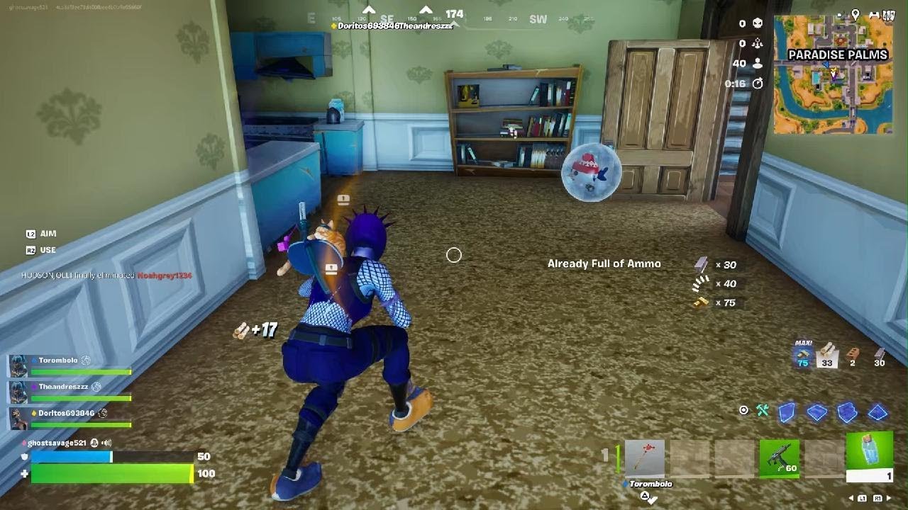 Fortnite squad win
