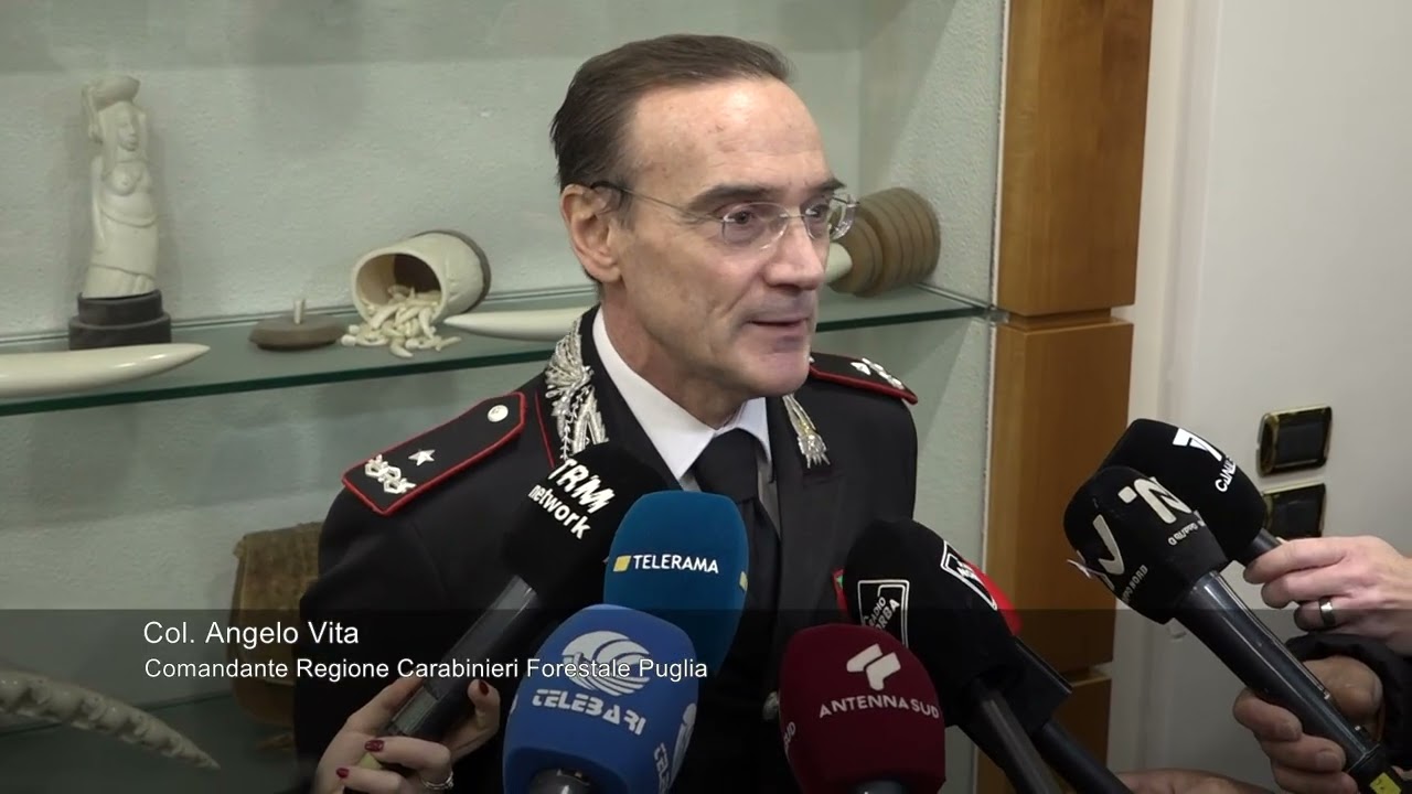 In Puglia nel 2025 il 30% in più di incendi: i dati del rapporto dei Carabinieri Forestali