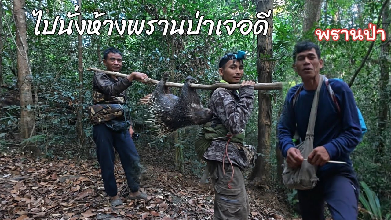ไปนั่งห้างต้นหมากไม้,พรานป่า,เจอดีเข้าให้แล้ว//พรานจิต คนหากิน//