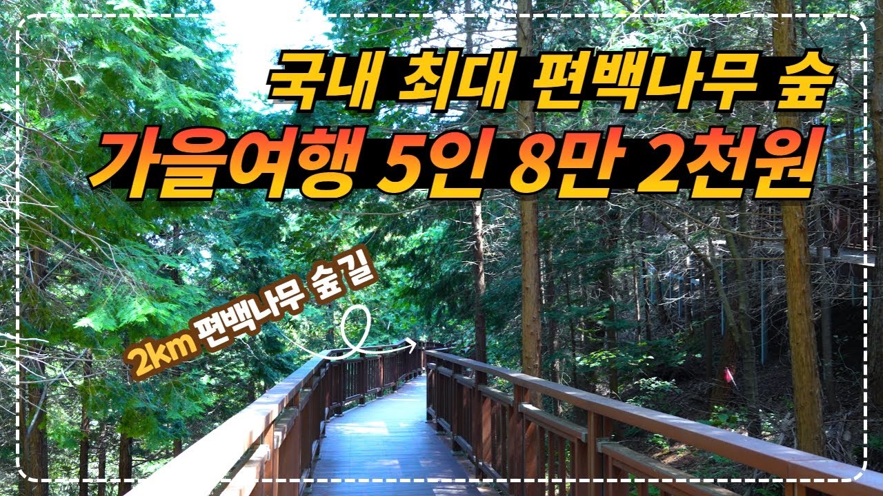 전남 장성_가을여행 1박 2일 밥 3끼 주는 편백나무 숲 속 별장 l 주말 5인 8만 2천 원ㅣ주말 8인 12만 원ㅣ장성숲체원