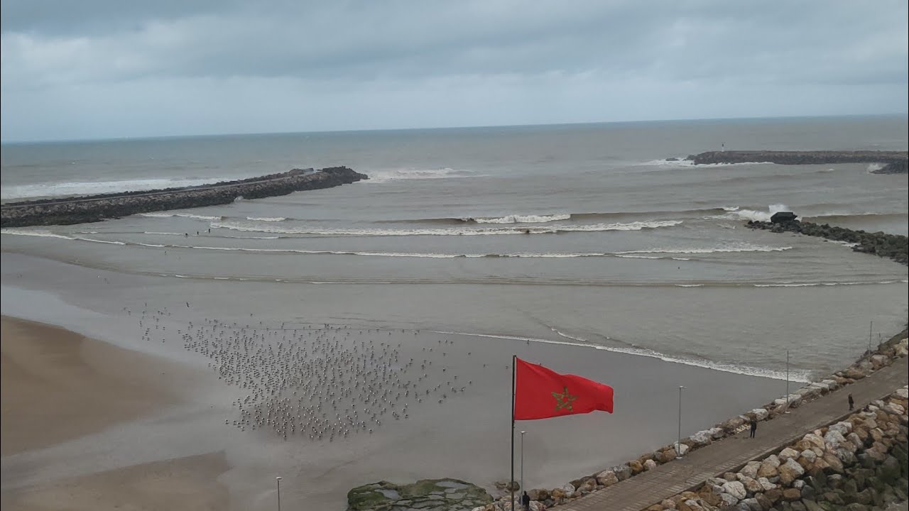 عاجل: لحظة اصطدام حمولة واد ابي رقراق بأمواج البحر..مشاهد خرافية في الرباط 😱🌊🌫