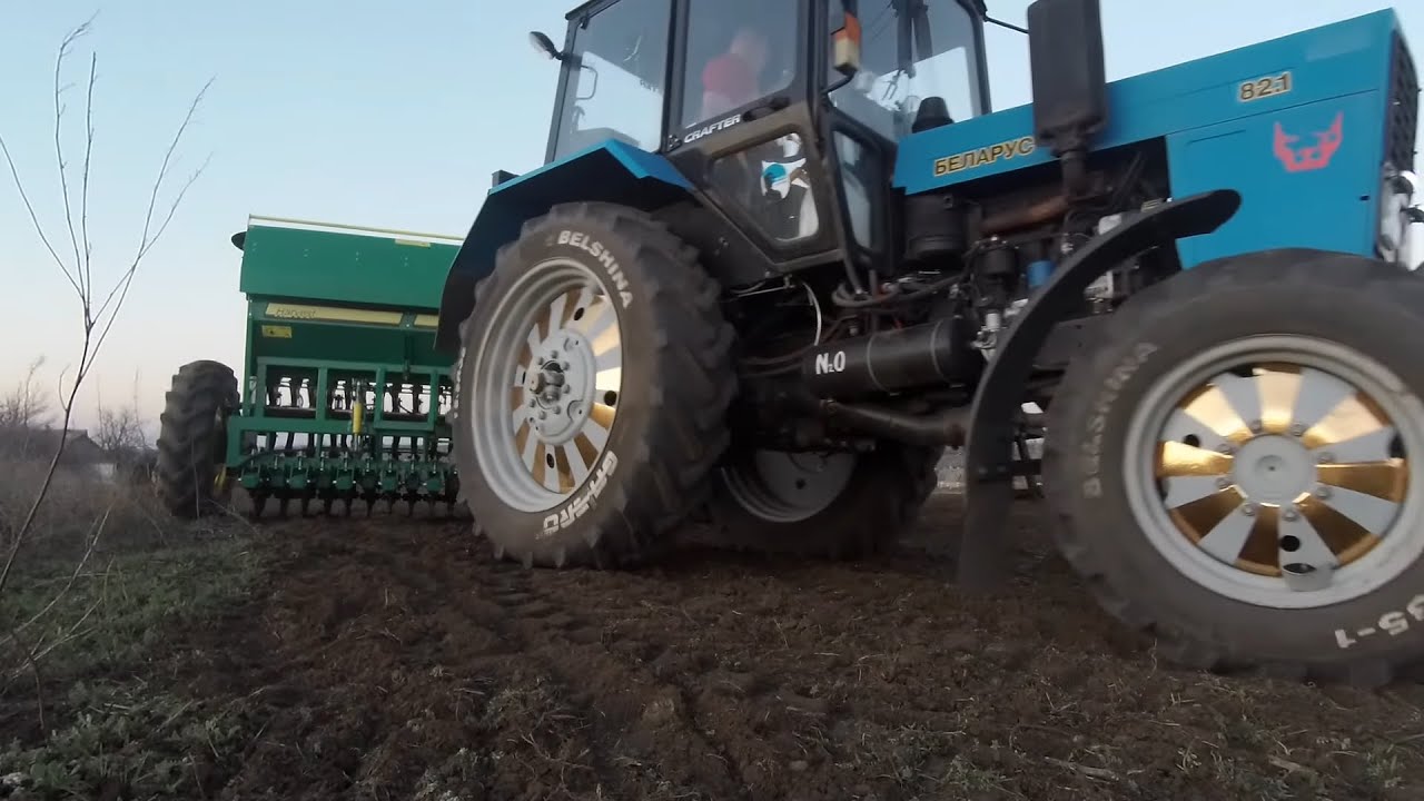 Посев ФАЦЕЛИИ 