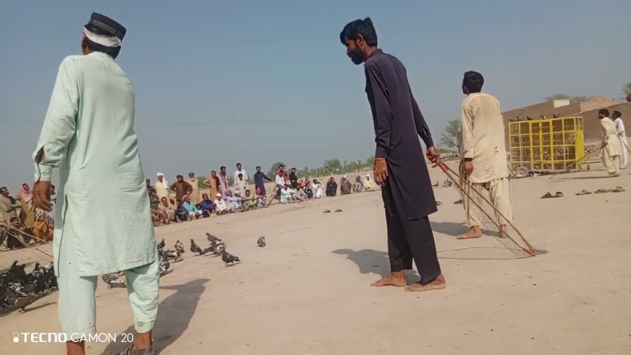کبوتر بازی ایک جنون 🕊️🕊️🕊️||فلک شیر بلوچ کا کھوکھا بمقابلہ فلک شیر کانجو کا کھوکھا||زبردست مقابلہ||