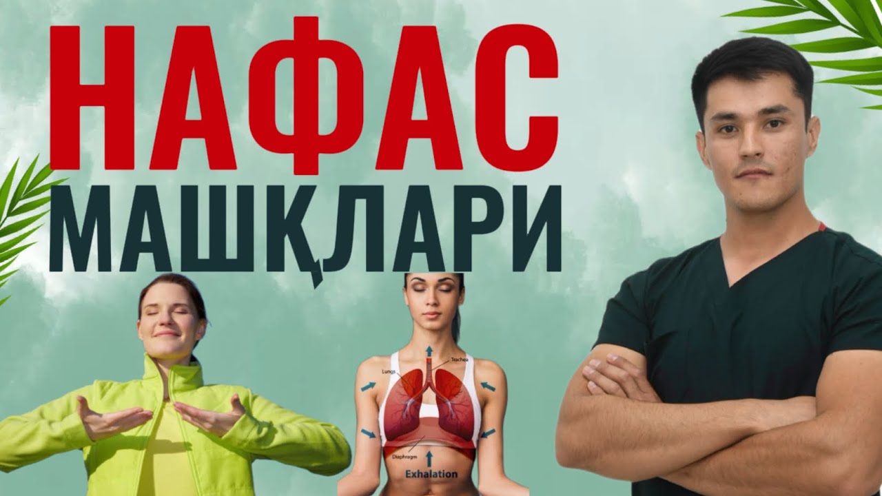 Нафас машқини кунига 1 марта бажарсангиз ҳеч қачон касал бӯлмайсиз