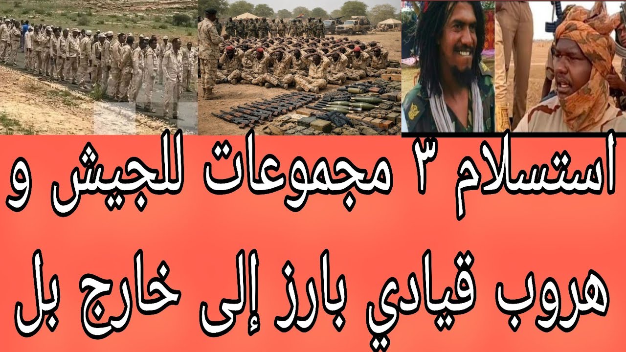 هروب قيادي بارز و استسلام ٣ مجموعات للجيش أبرز عناوين الصحف صادرة صباح اليوم الثلاثاء ١٧ فبراير ٢٠٢٦
