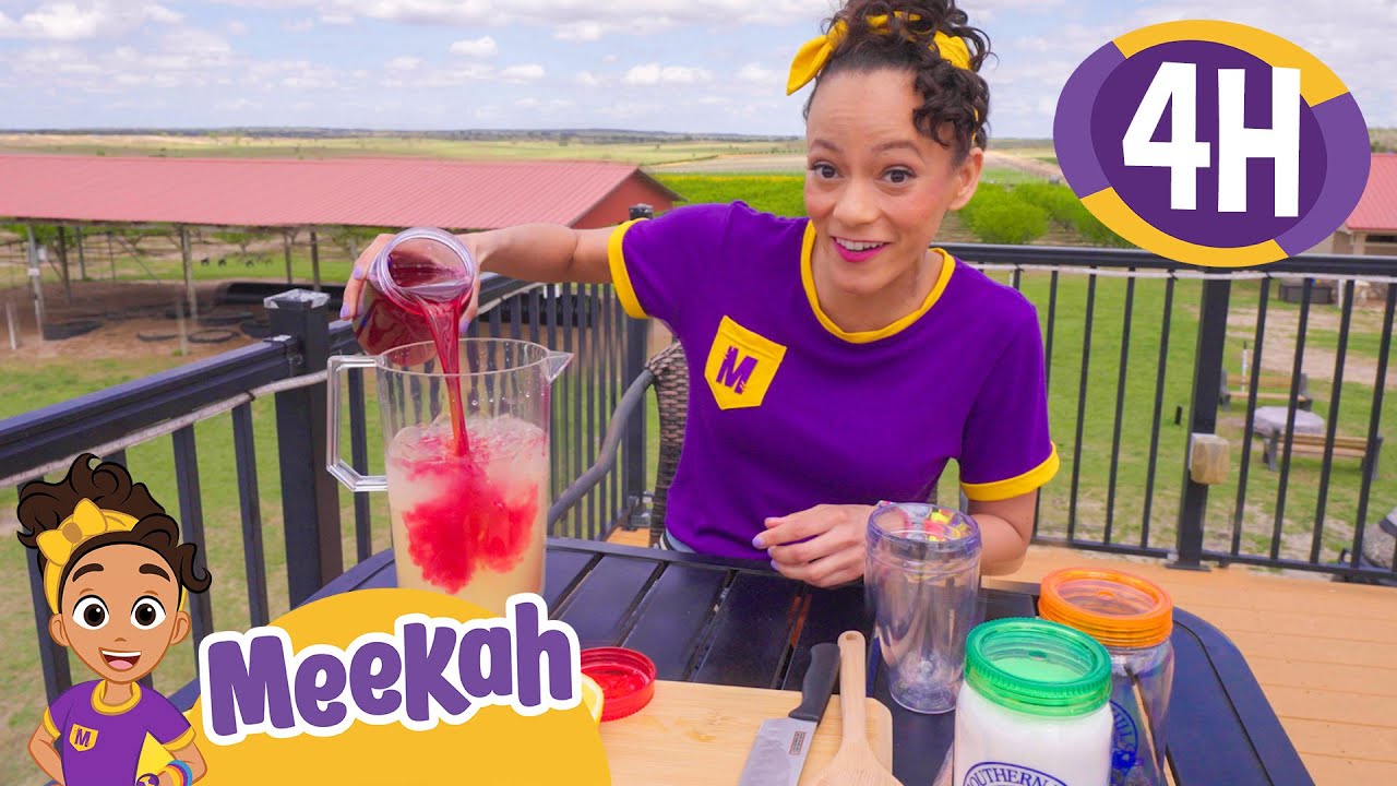 Picking Berries and Making Yummy Lemonade! | 4 HR OF MEEKAH! | Educational Videos for Kids