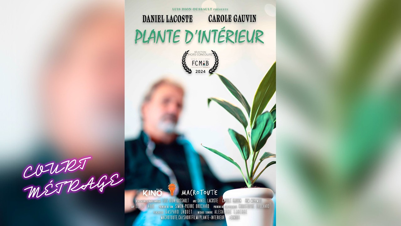 Plante d’intérieur - Indoor Plant