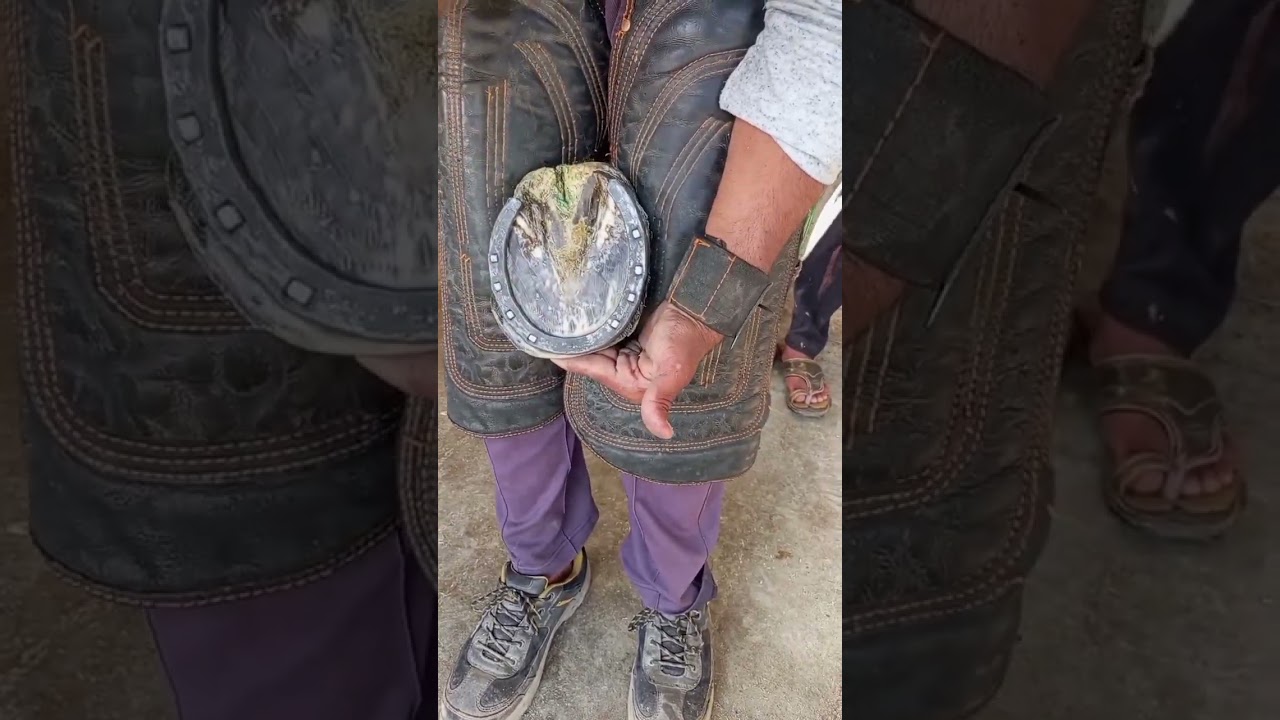 new wark horse hoof repair 