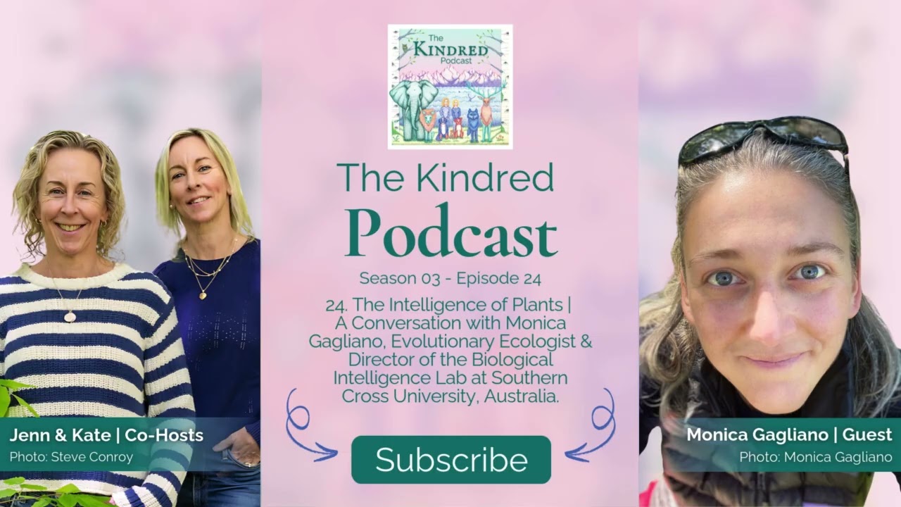 24. The Intelligence of Plants | A Conversation with Monica Gagliano,