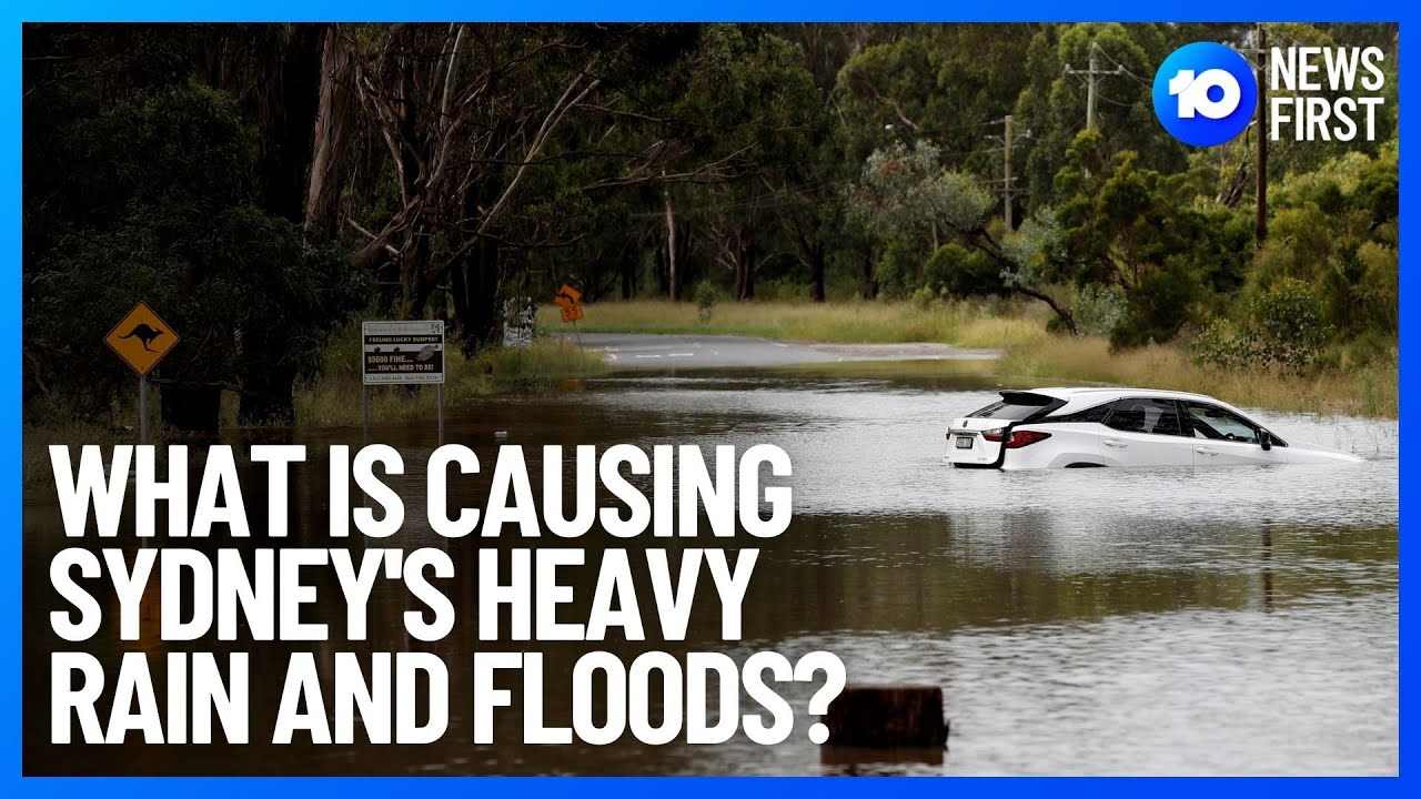 What Is Causing Sydney's Heavy Rain And Floods? | 10 News First