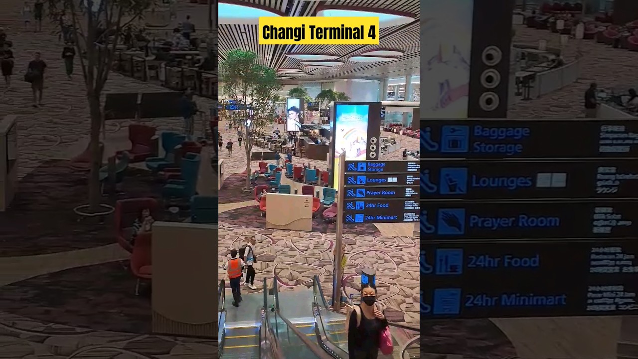Changi Terminal 4 Singapore so amazing #changiairport #terminal4changi #changiterminal4