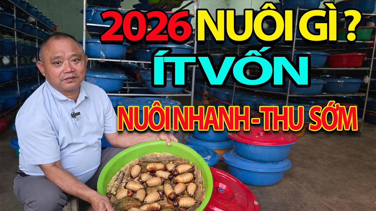Nuôi Gì 2026 Ít Vốn Nuôi Nhanh Thu Nhanh/ 1 Tháng Nuôi Đuông Dừa Có Tiền Về Tay – Ai Cũng Làm Được