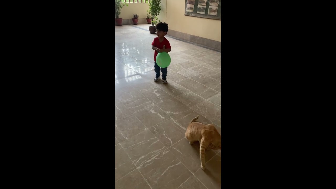 Samar having fun with ballon and cat #cat #animals #cutebaby #independenceday #viralvideo 