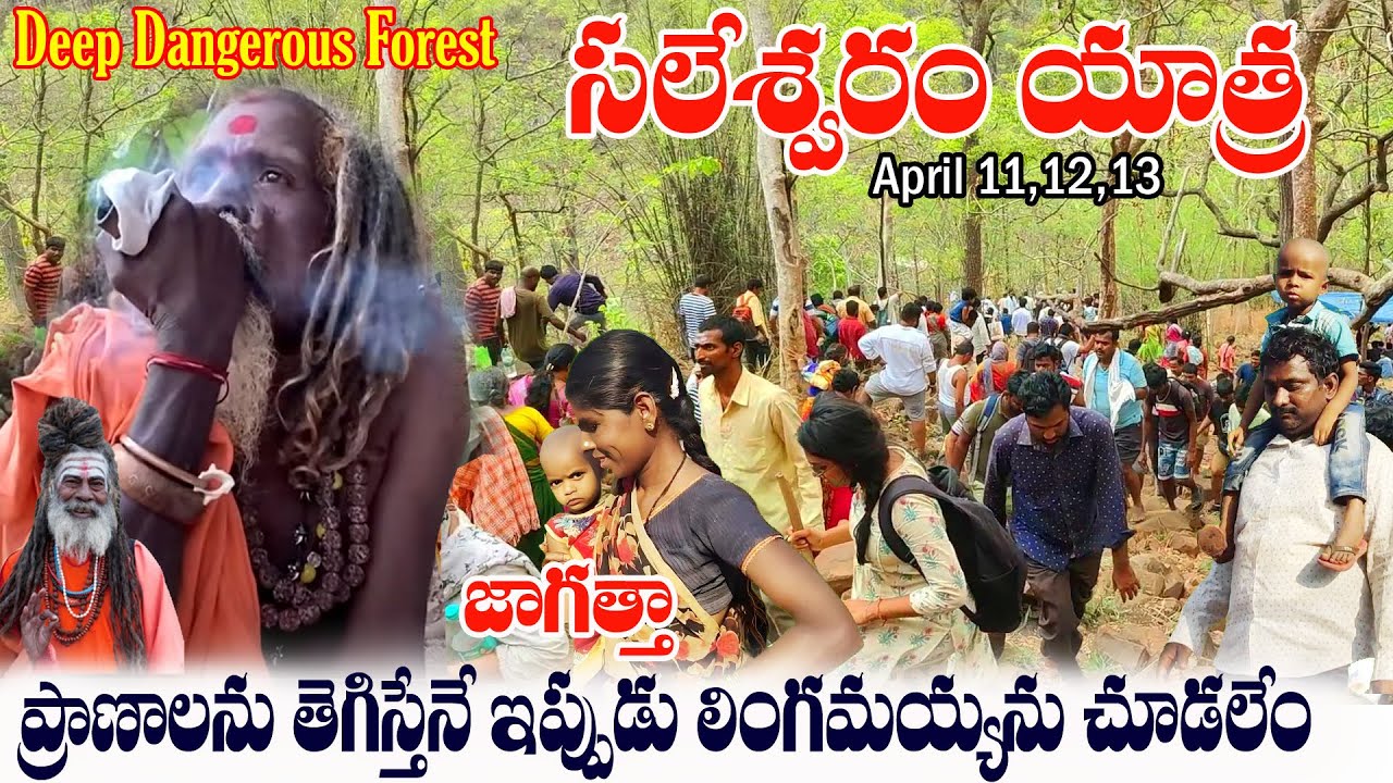 Saleshwaram || Saleshwaram Jatara 2025 || Nallamala Forest || Saleshwaram Temple videos