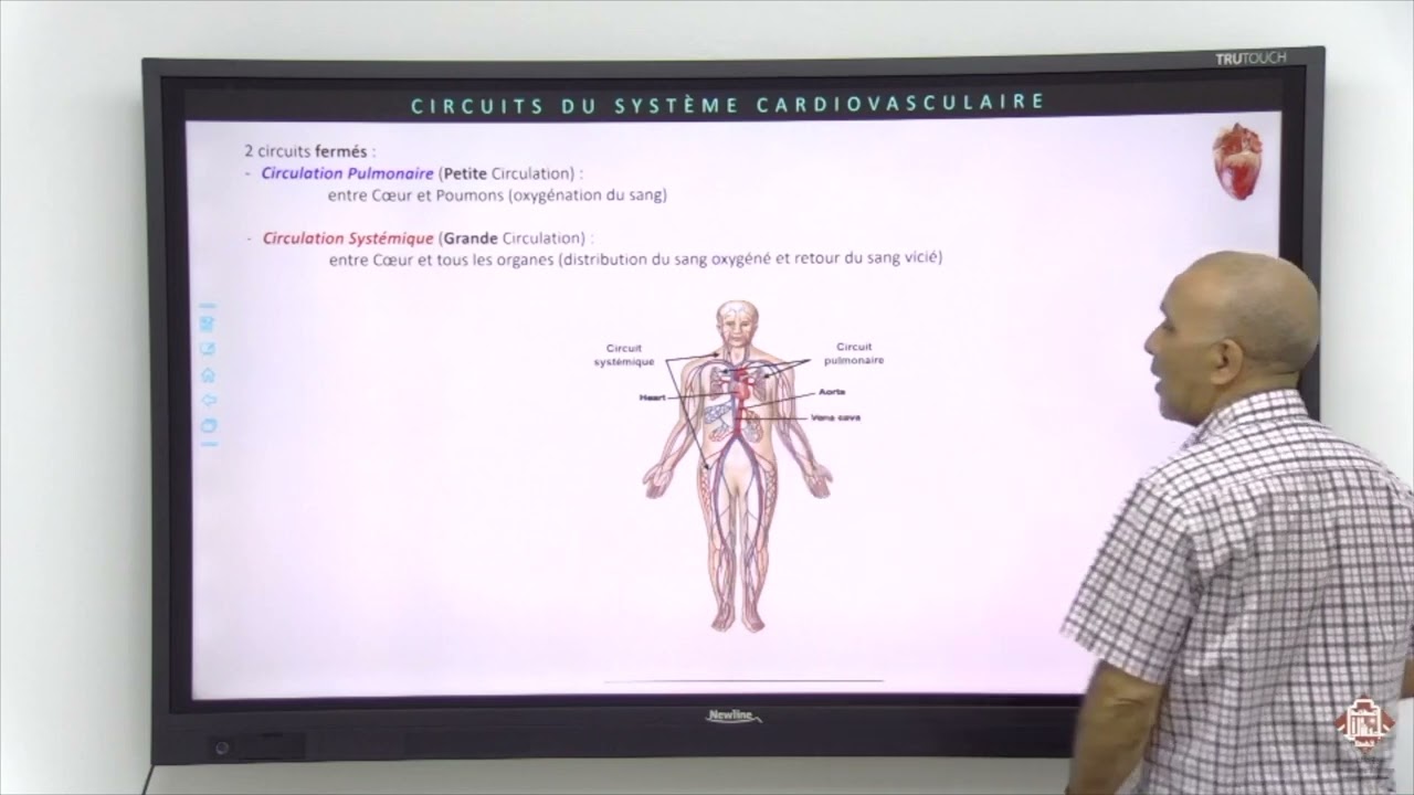 Cours Physiologie Cardiovasculaire Partie 1 Anatomie Coeur Circulation du Sang Pr MEKHFI