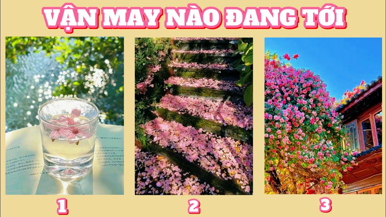 Tarot: chọn tụ bài: MAY MẮN NÀO ĐANG TỚI