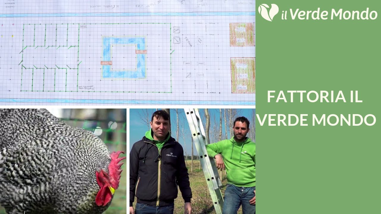 Fattoria Il Verde Mondo: ti presento la nostra nuova avventura | Puntata 1