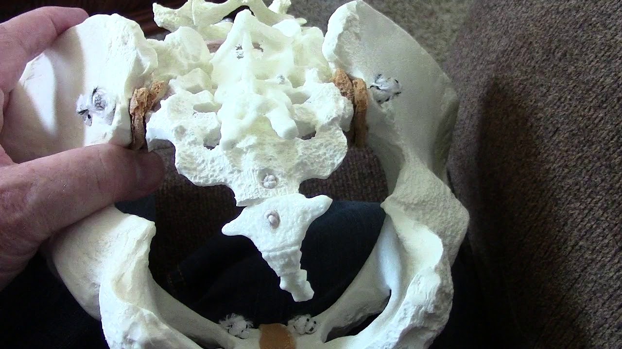 Coccyx Pain Side Bent Tailbone Happy Patient Part 1