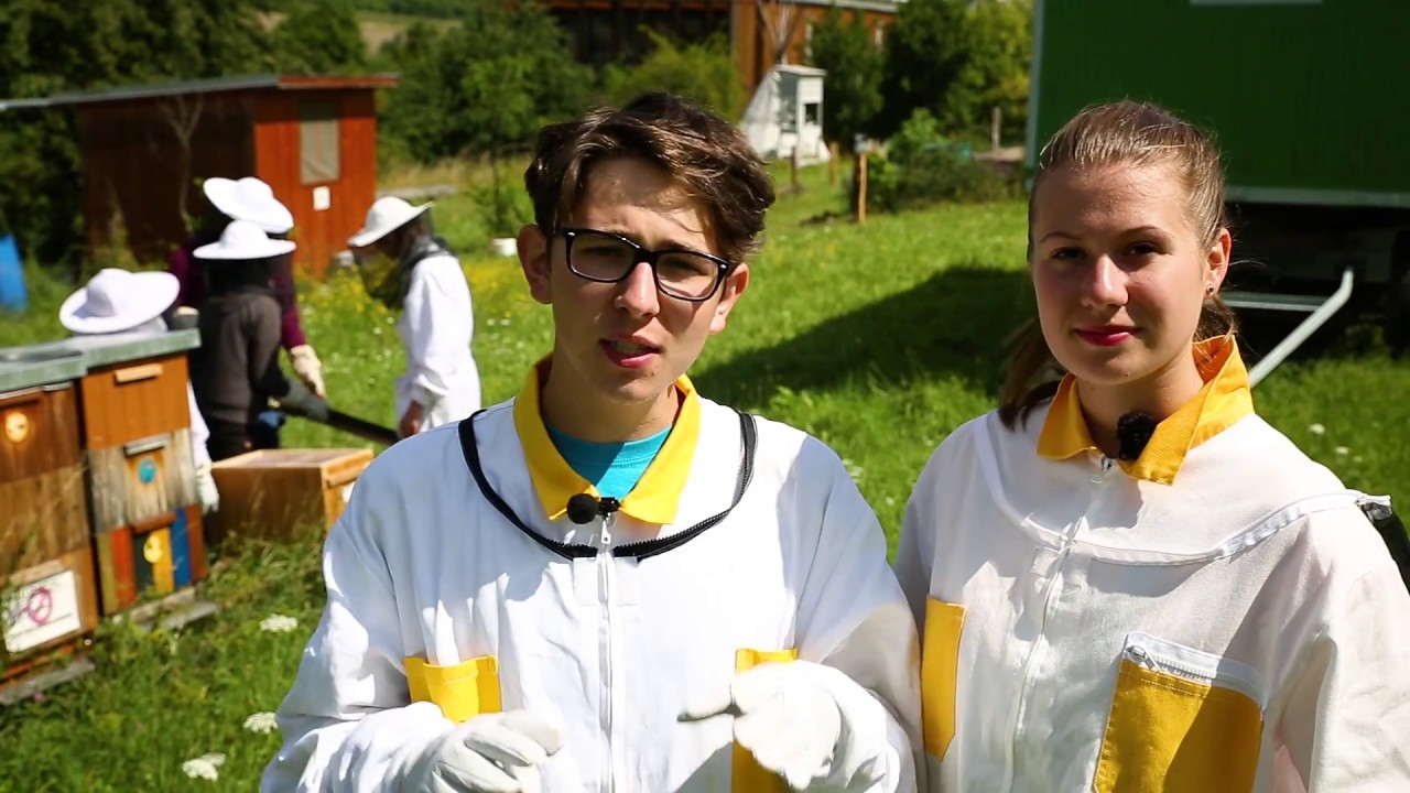 Tvorba oddělku