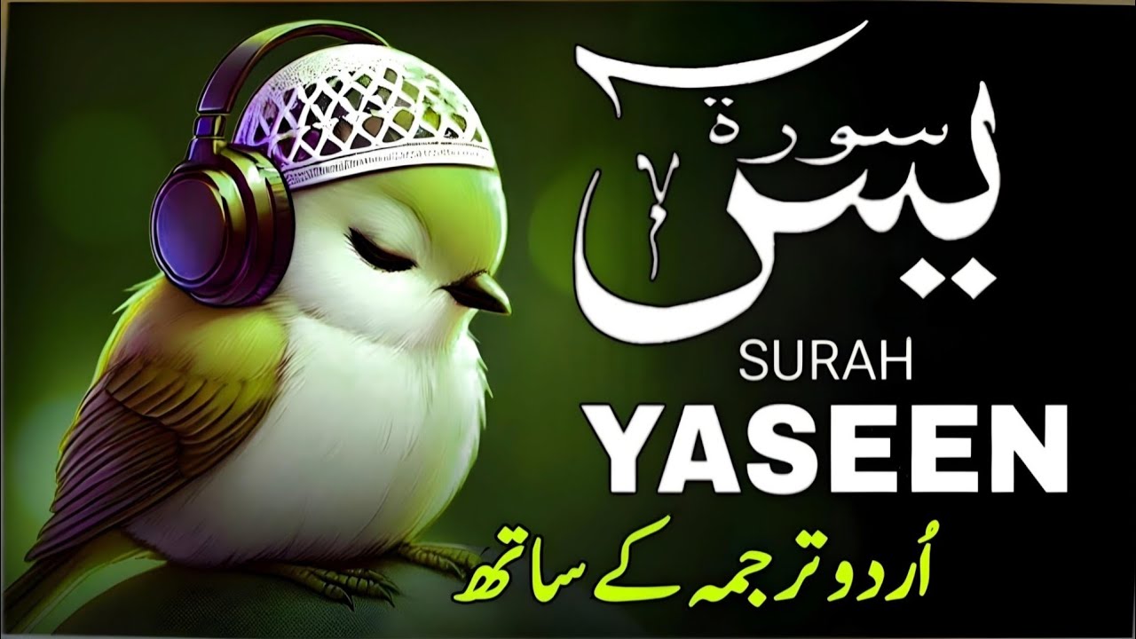 Surah Yaseen | Surah Yaseen With Urdu Translation | Episode - 446