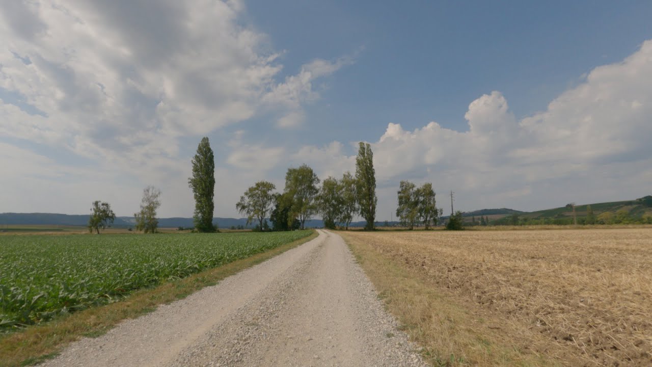 302 - Wilchingen-Hallau - Geißlingen
