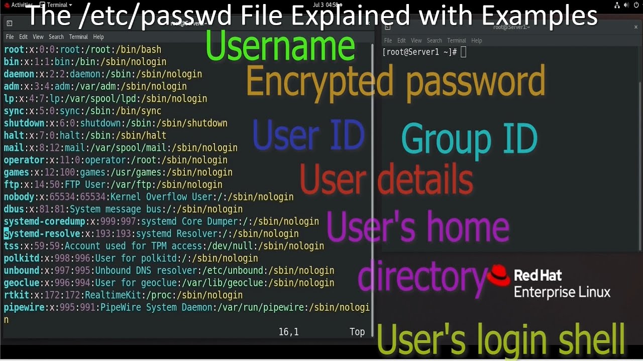 The /etc/passwd File Explained with Examples