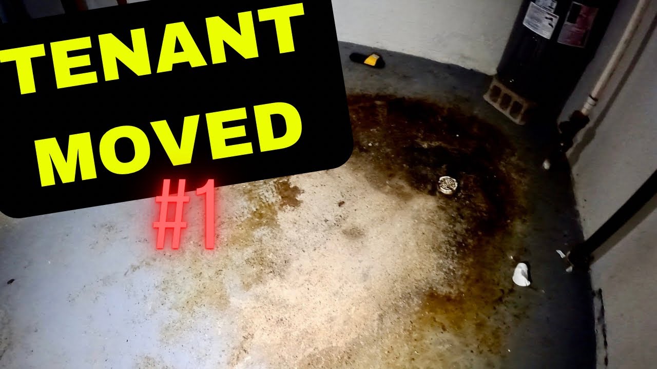 Vacant Rental Property | New Job Part #1