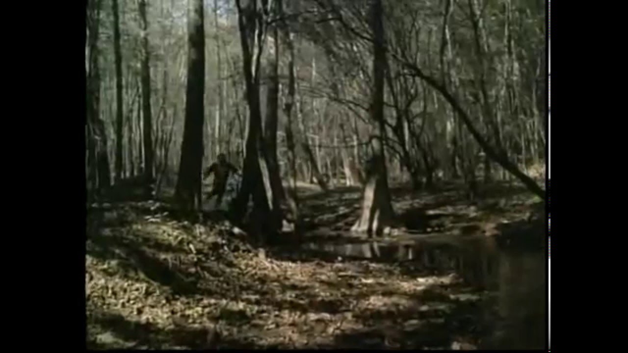 Moonrunners 1975 Moonshine Chase