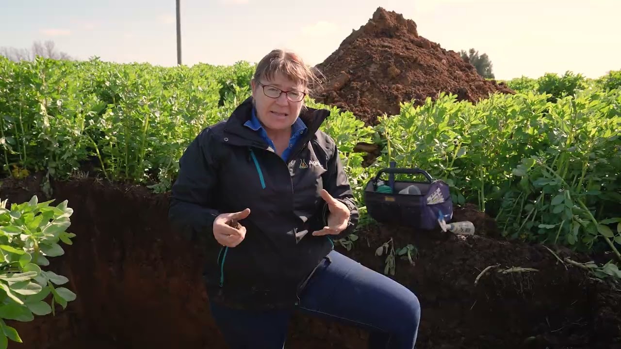 All things Soil Carbon, in Soil Pit