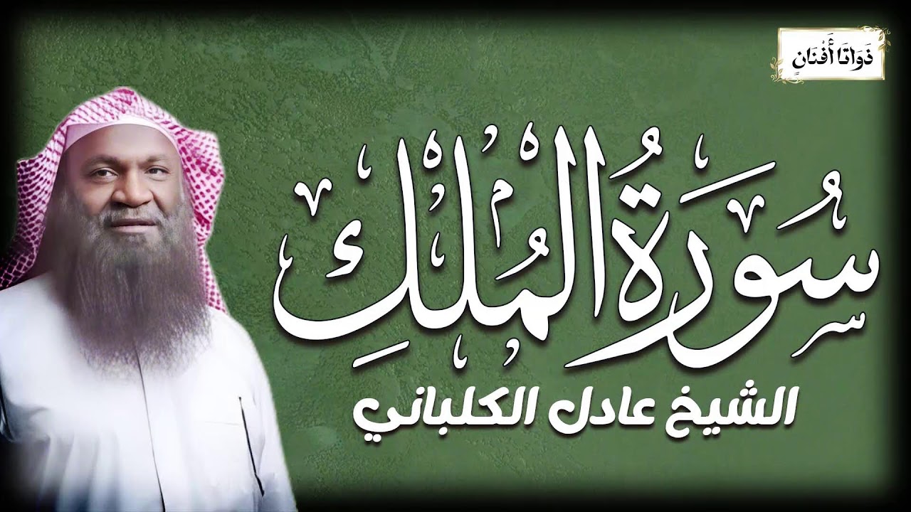 آيات من كتاب الله تُتلى بخشوع يملأ الأجواء